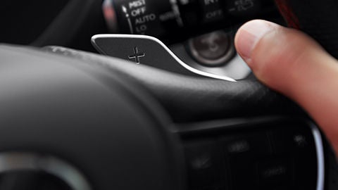 Close-up of a thumb controlling the paddle shifter.