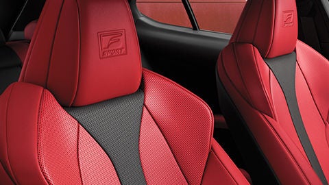 Close-up of Circuit Red F SPORT front seats.