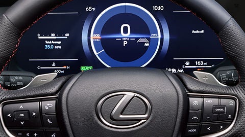 Shot of steering wheel and digital instrumentation.