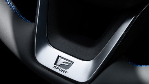 Detail of F SPORT badge on steering wheel.