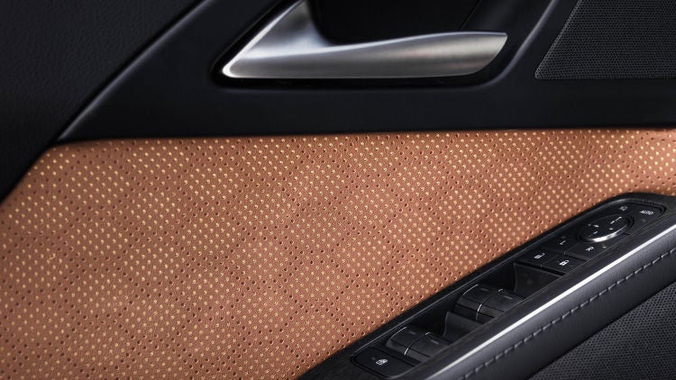 Driver’s interior door panel with armrest controls and satin-finish door handle.